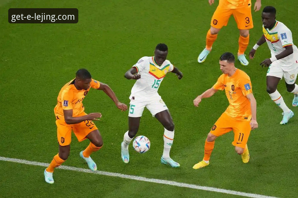 乐竞官方平台：民主刚果绝杀晋级世界杯最新战报